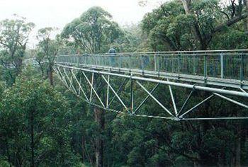Tree Top Walk Motel Walpole Zewnętrze zdjęcie